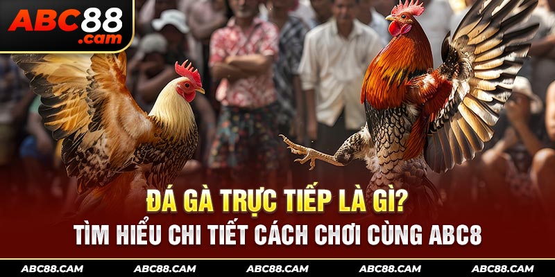 đá gà trực tiếp