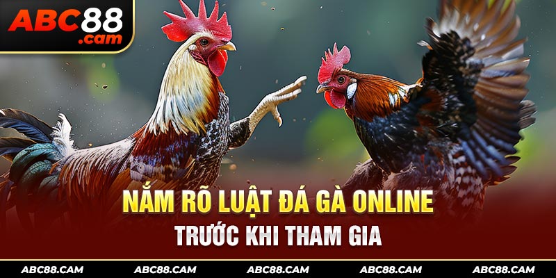 Nắm rõ luật đá gà online trước khi tham gia